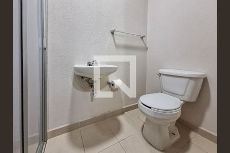 Medio baño 2 de apartamento para alugar com 2 quartos, 220m² em Los Framboyanes, Ciudad de México