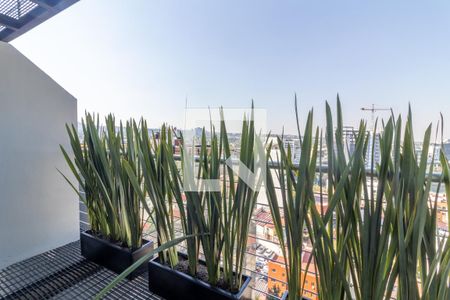 Balcón  de kitnet/studio para alugar com 1 quarto, 65m² em San Jerónimo Aculco, Ciudad de México