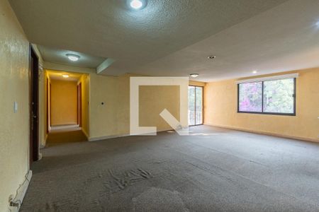 Sala - Comedor de apartamento para alugar com 3 quartos, 118m² em Bosque Del Sur, Ciudad de México